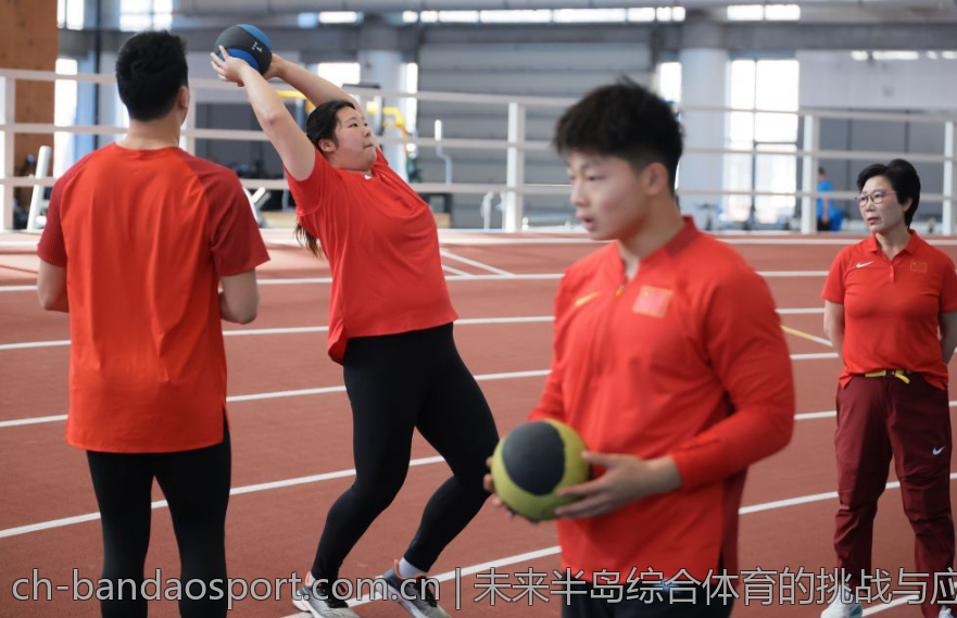 未来半岛综合体育的挑战与应对策略